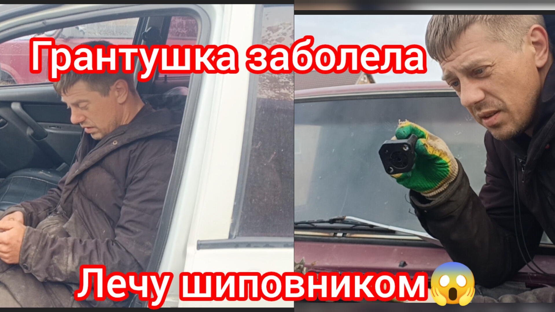 Грантушка заболела 😷,лечу шиповником 😱 . Поможет? В чём 🤔 причина ???