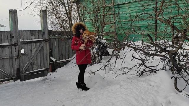 Кот не узнал😄 🙀