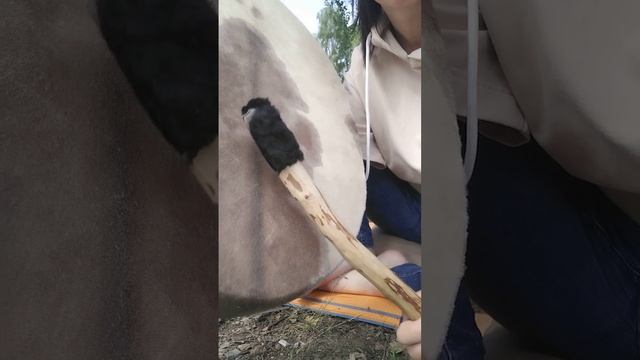 Шамаснкая практика.