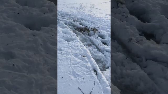 На снегоходе провалился под лёд