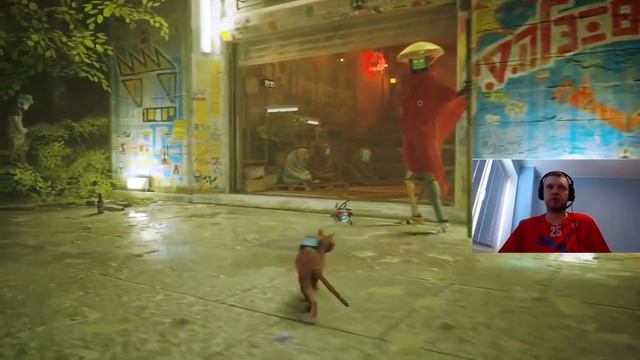 ПАПИЧ ИГРАЕТ ЗА КОТА | Stray