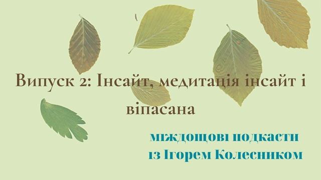 Випуск 2  Інсайт, медитація інсайт і віпасана
