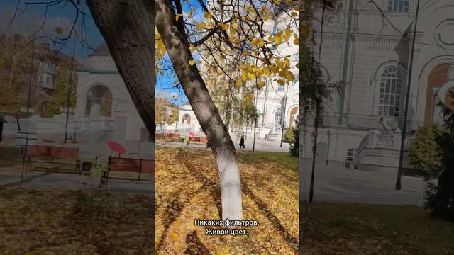 Жизнь в мелочах 🍁.mp4