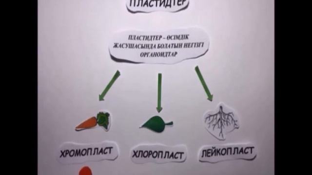 Төңкерілген сабақ Шоқай датқа Прокариоттық жәке эукариоттық жасушалар биология