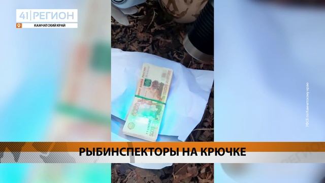 ЗА ВЗЯТКУ В 2,5 МЛН РУБЛЕЙ ЗАДЕРЖАЛИ ТРЁХ РЫБИНСПЕКТОРОВ НА КАМЧАТКЕ • НОВОСТИ КАМЧАТКИ