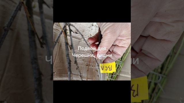 В дополнение к вчерашнему видео