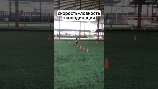 скорость+ловкость+координация / speed+agility+coordination