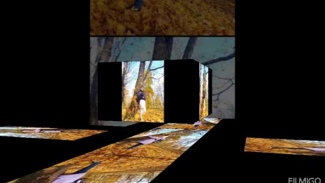 1000050228.mp4