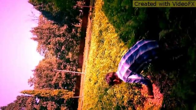 N L P 7star backflip khelmati Tipar land