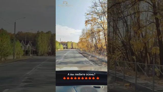 А вы любите очень? 🍁.mp4