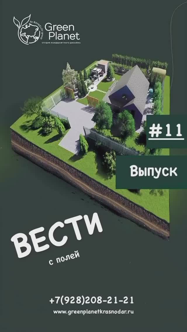 Рубрика «Вести с Полей». Выпуск #11.