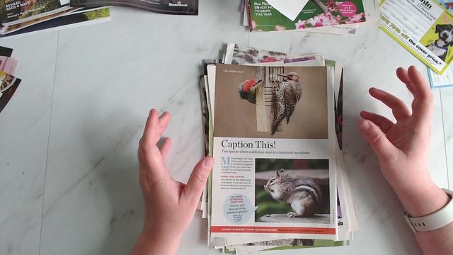 Magazine Harvest and Chat | These Always Make Me Feel Better