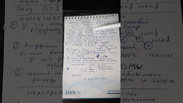 DSS отзыв и кратко о компании