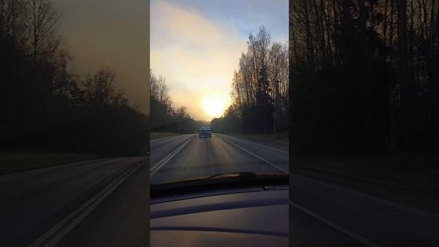 Доброе туманное утро
