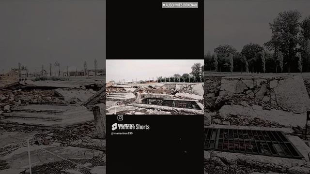 Auschwitz-Birkenau. "ON THE WAY TO
DEATH. The Death Gate"