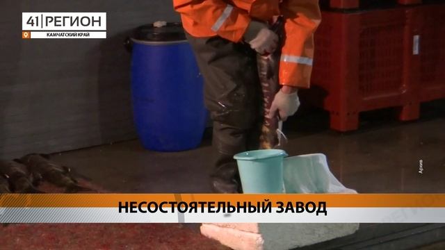 «КАМЧАТСКИЙ РЫБОВОДНЫЙ ЗАВОД» ПРИЗНАЛИ БАНКРОТОМ • НОВОСТИ КАМЧАТКИ