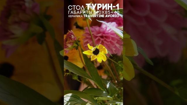 Стол Турин-1С — воплощение элегантности для вашего пространства
