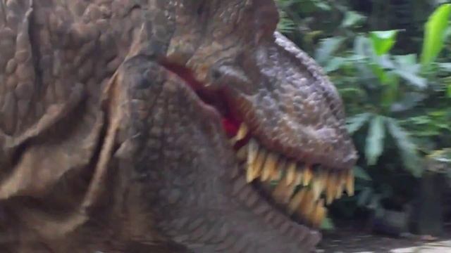 Rex
