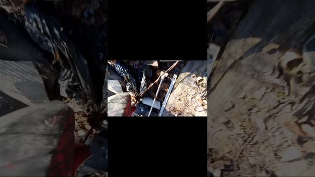буду делать 1 часть