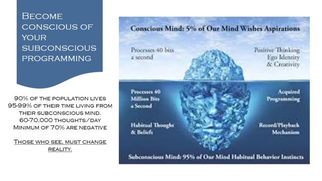 Quantum Reality - Take Back Your Mind - Become Resilient