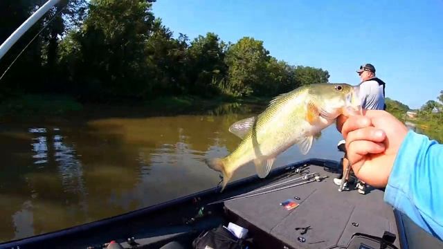 River Fishing for Summer Bass!!!!