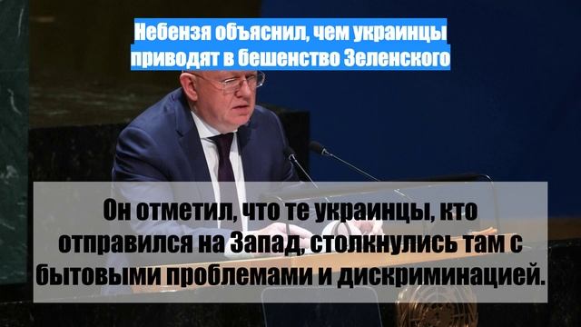 Небензя объяснил, чем украинцы приводят в бешенство Зеленского