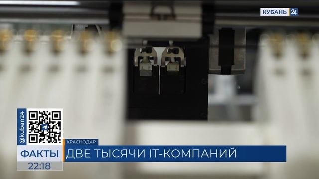 Количество IT-компаний выросло вдвое за три года в Краснодаре