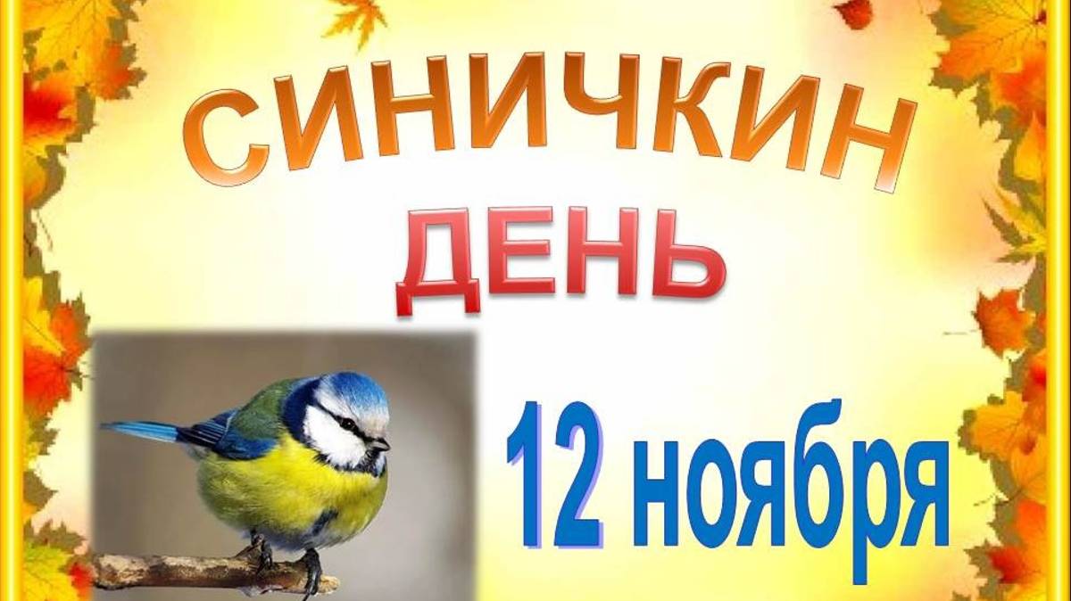 Синичкин день 12  ноября