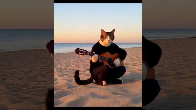 ai cat guitar