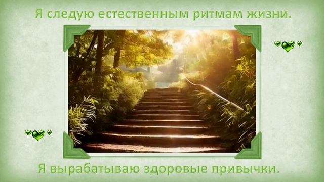 Я следую естественным ритмам