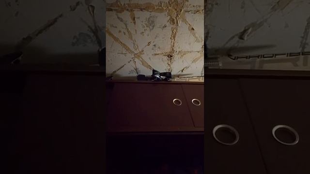 Синичка продолжение.