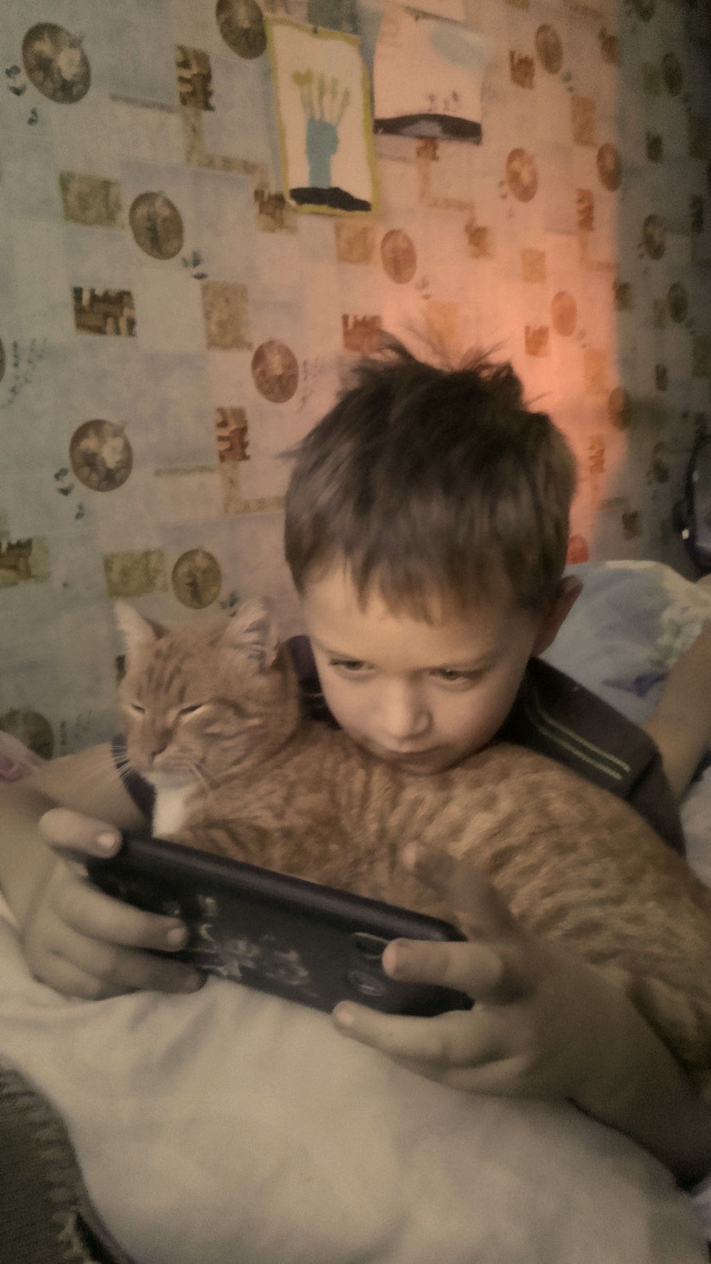 стрим