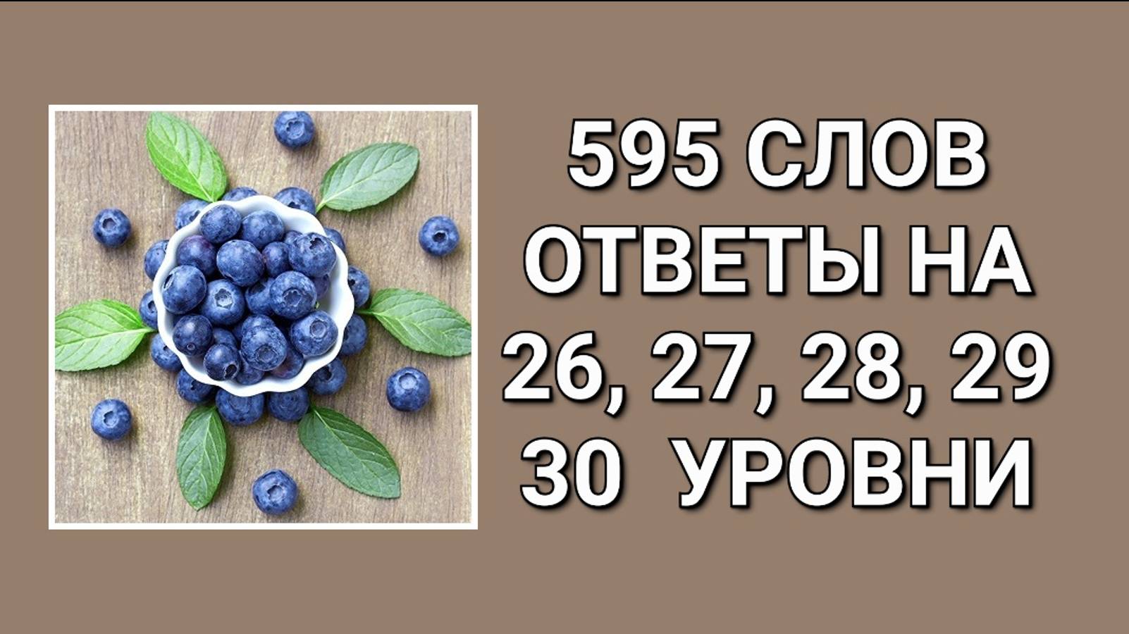 Словесная игра 595 слов ответы на 26, 27, 28, 29, 30 уровни