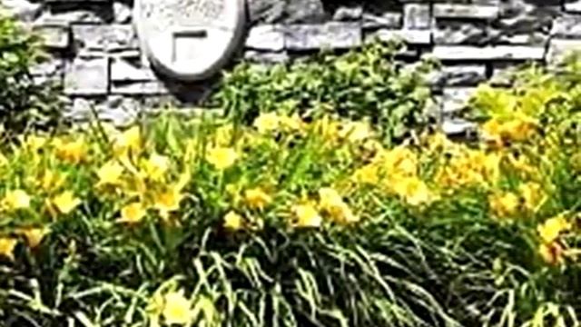 Homes for Sale - 6330 Bridle Path Grand Blanc MI 48439 - Wendy Sabo