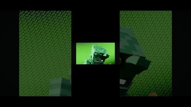 1000044484.mp4