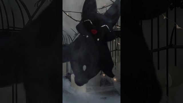 VID_20241031_175546_311.mp4