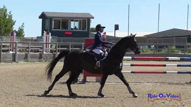 032S Megan McIver Sabo on Kapitan Sparrow XII Open Preliminary Show Jumping Woodside May 2022
