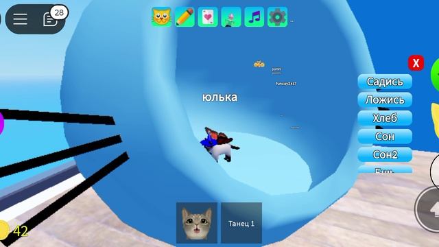 чип