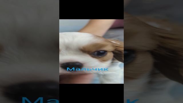 1000102191.mp4