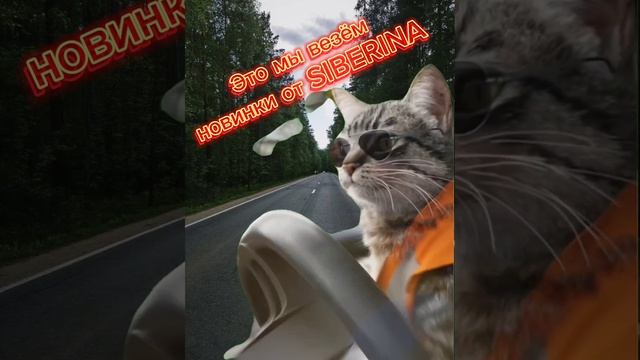 Отзыв на натуральную косметику SIBERINA