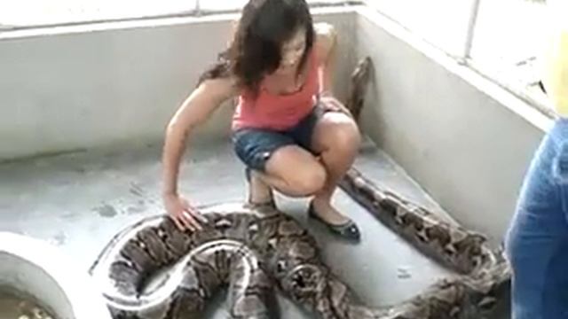 buty.flv