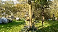 Outdoor - Vogel beobachtung