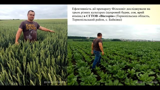 Тернопольская область - эффективность использования Филазонита