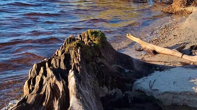 Сегежский городской пляж, последний день октября.