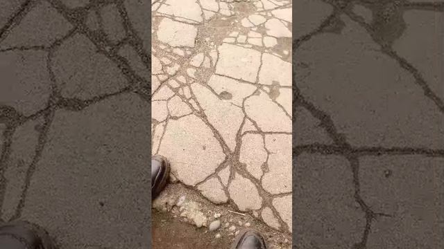 незнаю что делать пишите задания