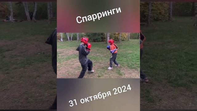 Видео WhatsApp 2024-10-31 в 19.44.28_ea74bfd1