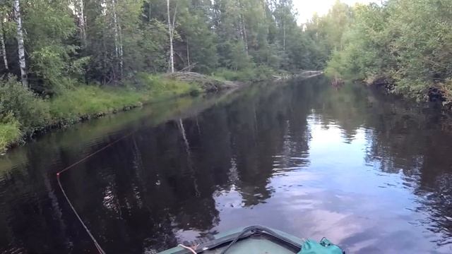 Рыбалка в соседнем районе на таежной речке/ Прогулка по бору