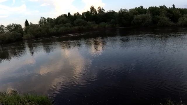 Вечерняя рыбалка на реке Большая Визинга 9 июня 2019.
