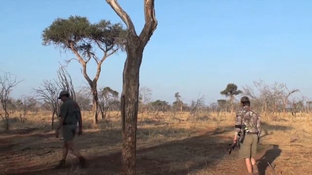 2010 Africa SABO Sight Bow Hunt Kudu.mov
