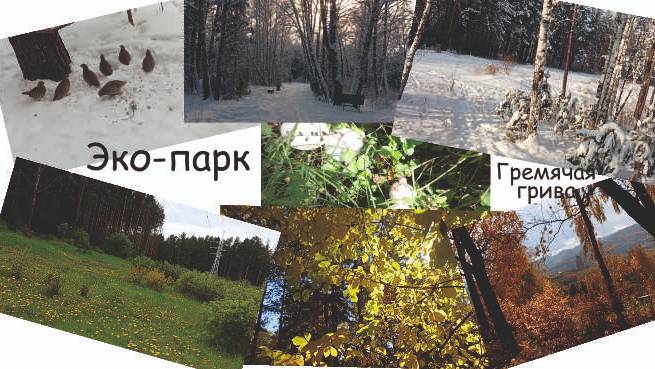 Времена года в эко-парке Гремячая грива